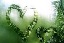 乌拉圭对阵巴拿马，这场足球对决有哪些看点？